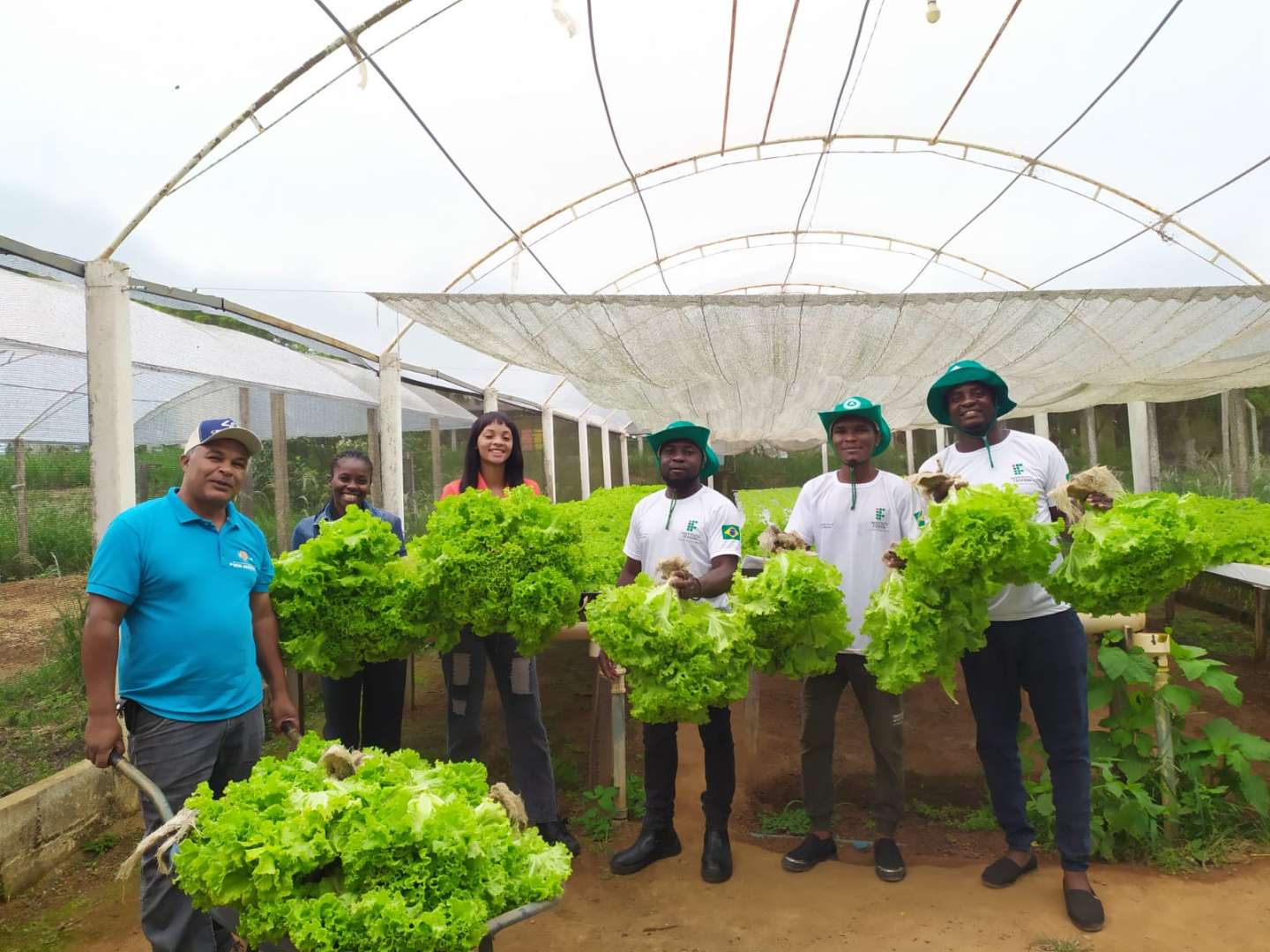 Moçambicanos participam de curso de Produção de Hortaliças no IFSULDEMINAS